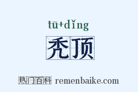 秃顶是什么意思的图片